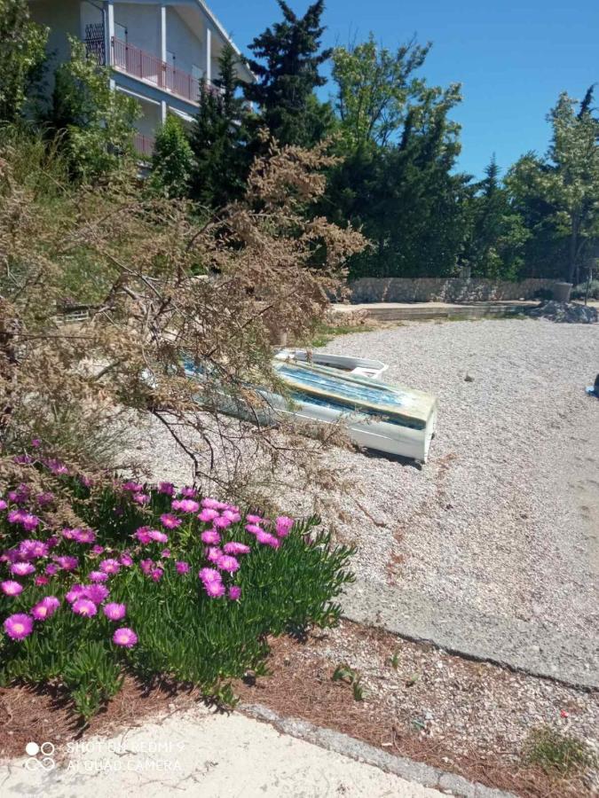 Apartments Vukelic Starigrad Paklenica Dış mekan fotoğraf